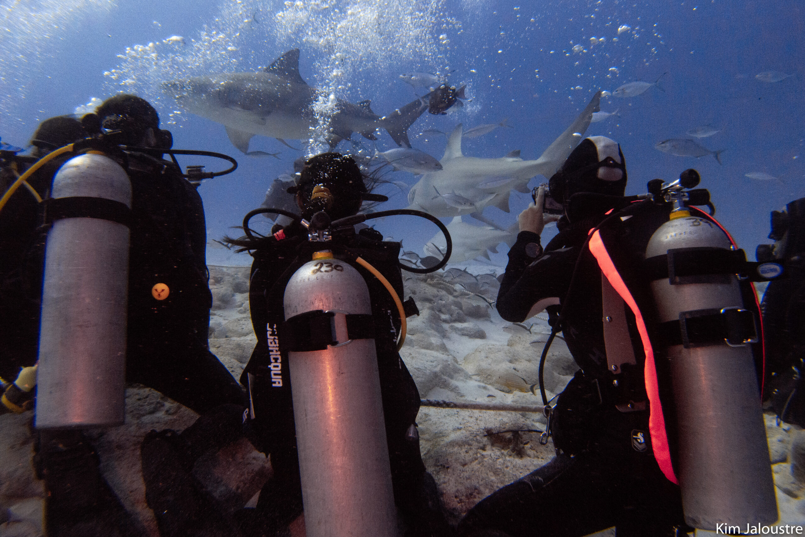 Triton Diving Discover diving in Playa