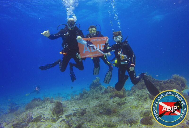 Three divers with ADIP banner underwater, clear blue sea with marine life in the background.