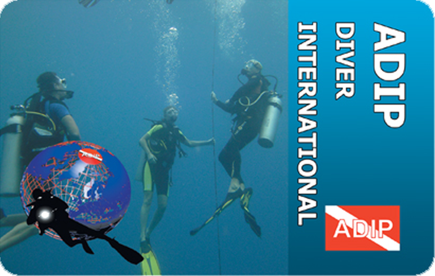 Triton Diving ADIP Diver 4 certified group immersed in the clear waters of Playa del Carmen, surrounded by marine life.