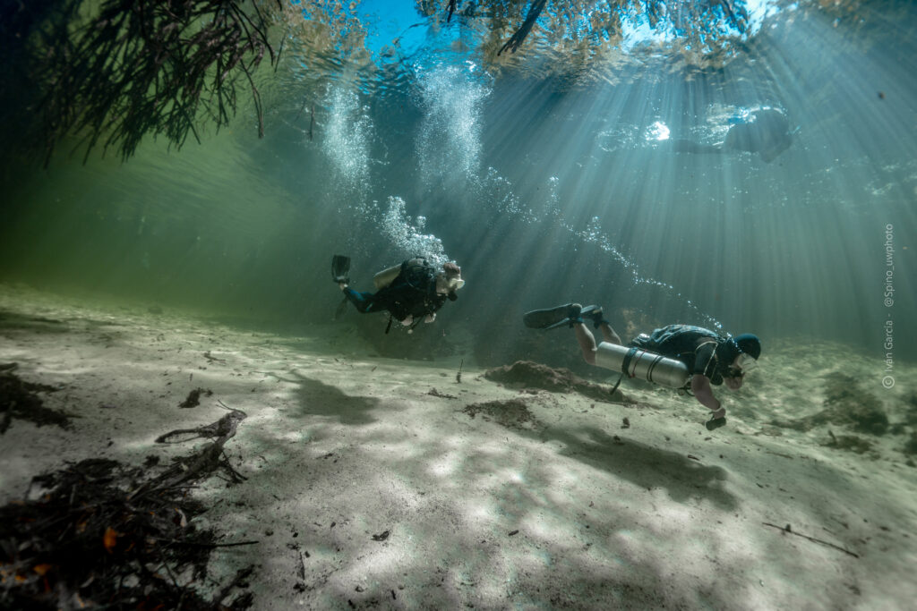 Les aventuriers de Triton Diving glissent à travers la lumière tamisée du soleil dans les eaux claires de Casa Cenote