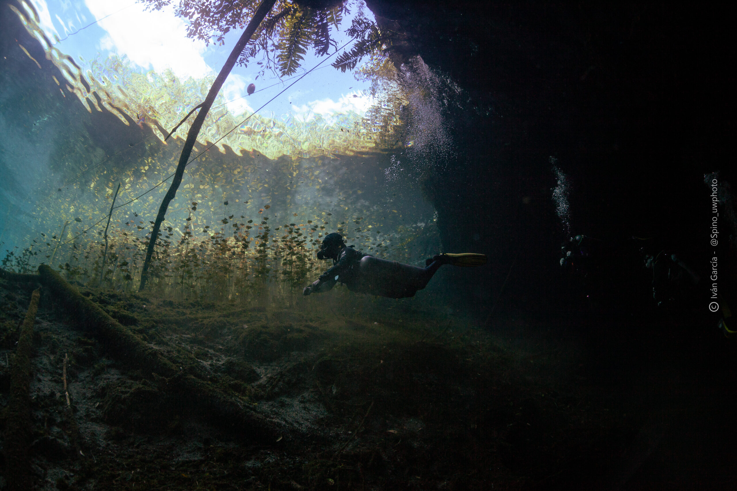 Plongeurs dans les eaux sereines du Cenote Car Wash avec la lumière du soleil perçant à travers, expédition Triton Diving