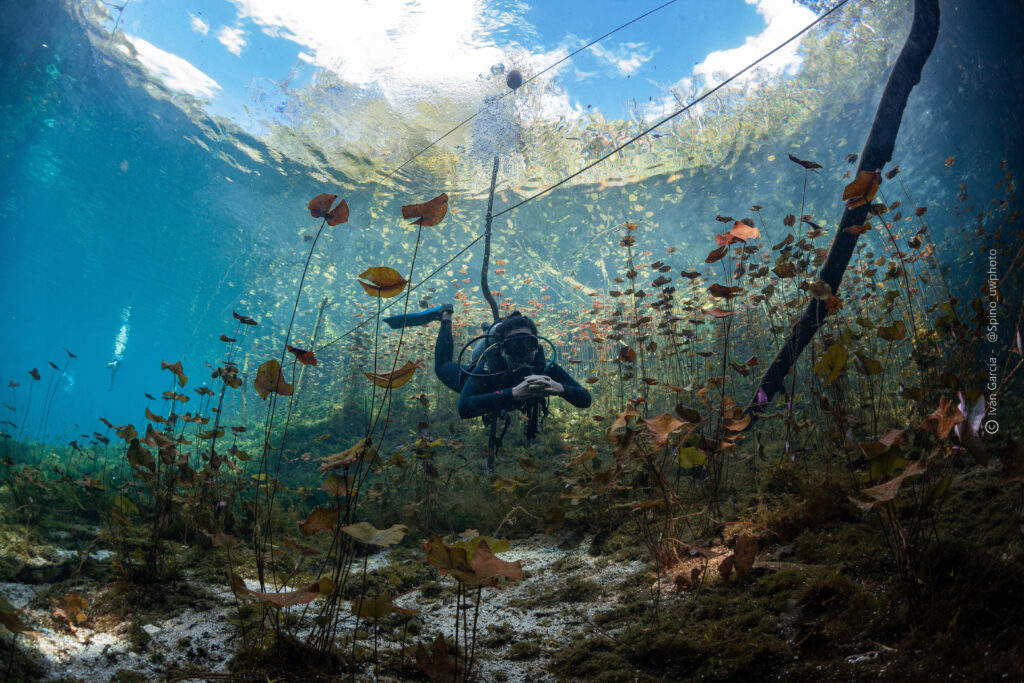 Plongeur sous-marin explorant les eaux claires du Cenote Car Wash parmi les feuilles tombées, avec Triton Diving