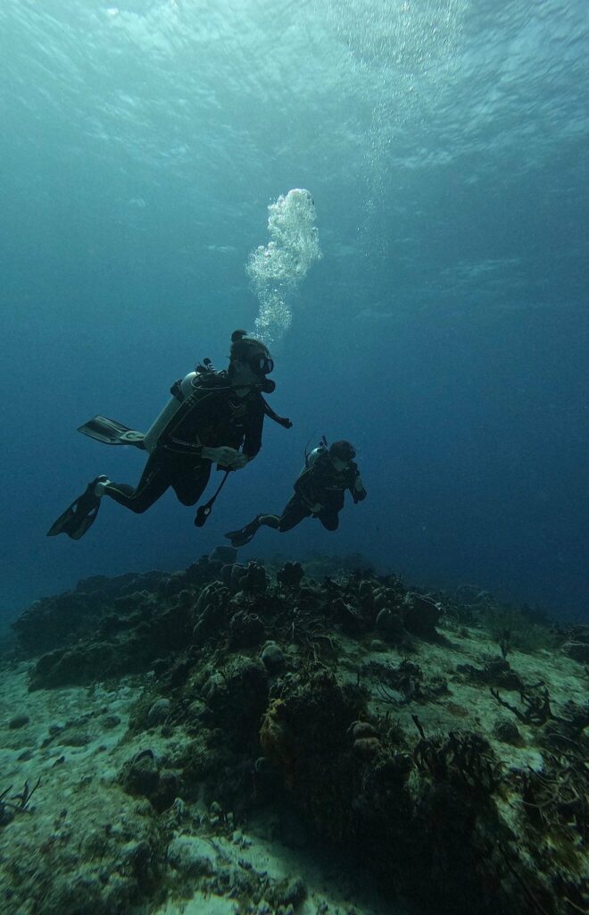 Two divers glide over a coral reef in the clear waters of the Mexican sea.