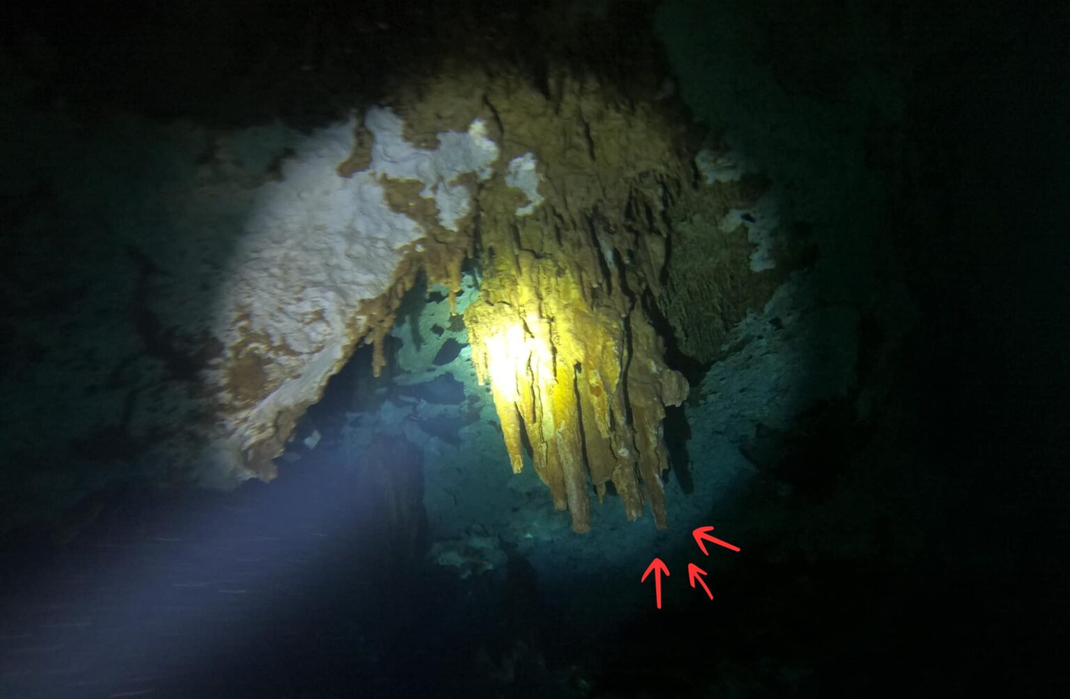 Stalite Rocks Stalactites and Stalagmites: Everything You Need to Know