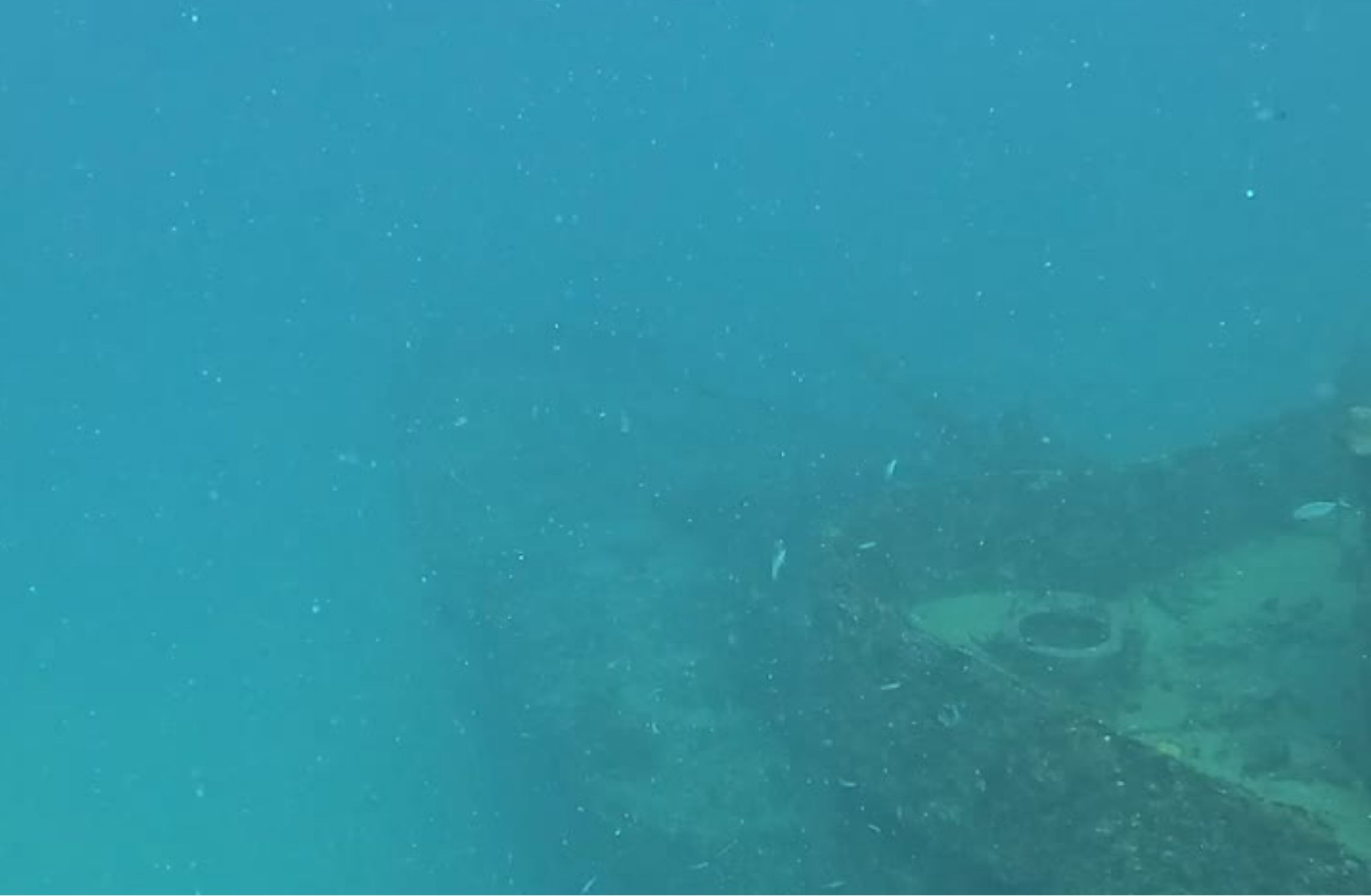 L'épave C-56 de Puerto Morelos​ (4)