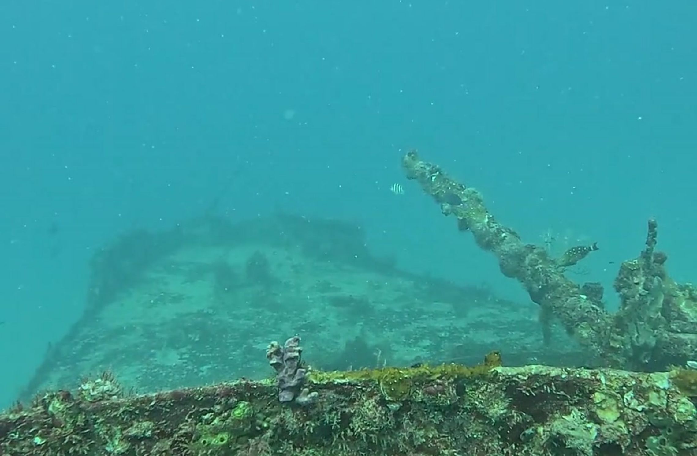 L'épave C-56 de Puerto Morelos​ (5)
