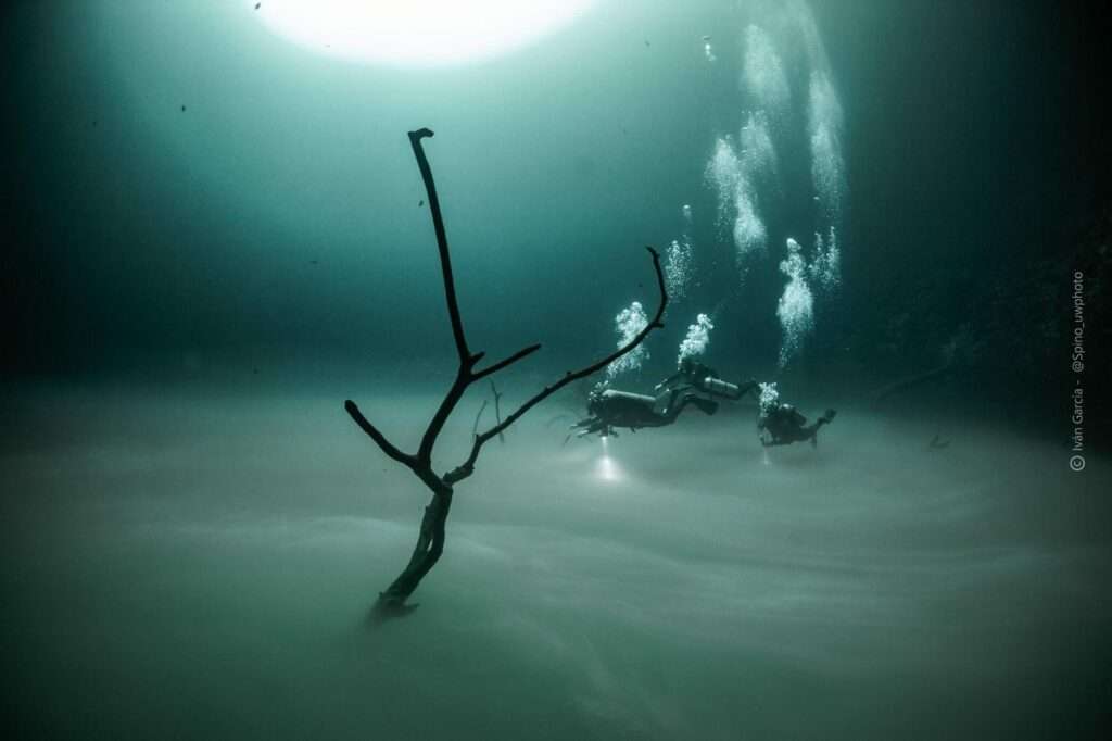 Diver above the cloud in Cenote Angelita – photo © Iván García (@Spino_uwphoto)