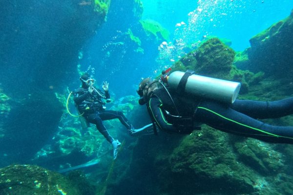 Deux plongeurs dans l'eau bleue et limpide du cénote Jardín del Edén