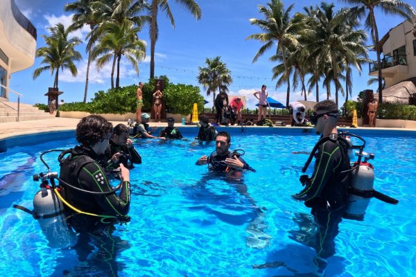 Élèves plongeurs en piscine avec leur moniteur, au milieu des palmiers
